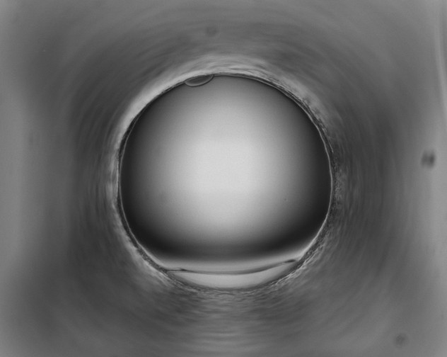 X0000100331520200806121115