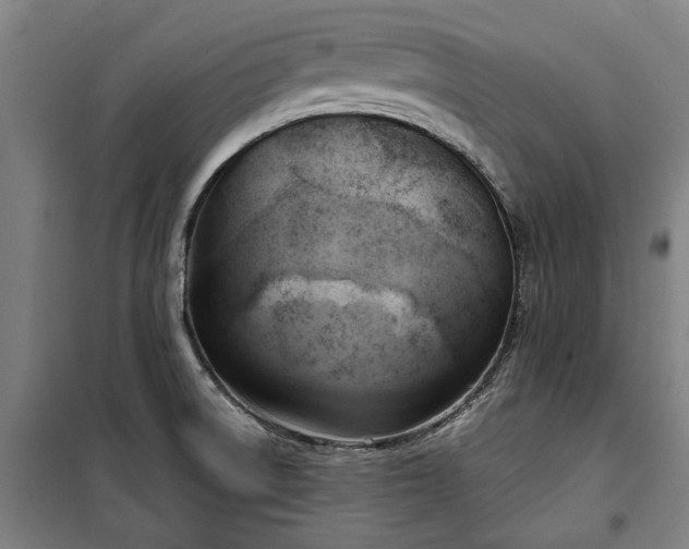 X0000100331522200806121115