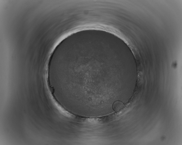 X0000100331523200806121115