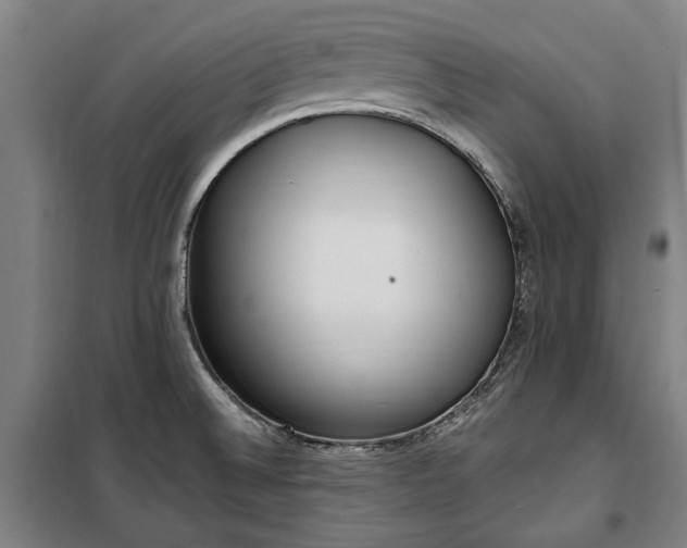 X0000100331524200806121115