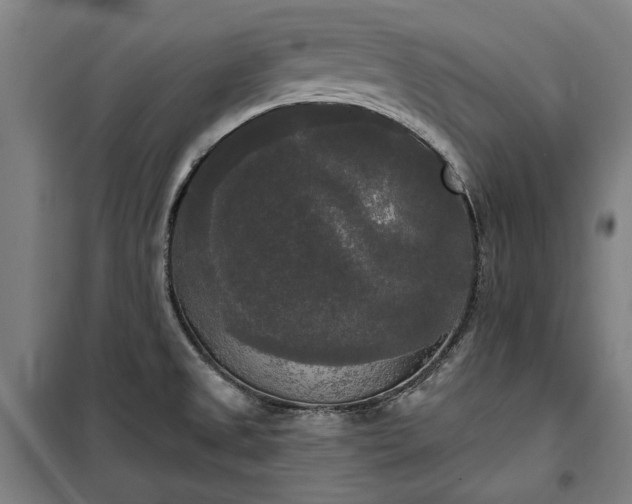 X0000100331525200806121115