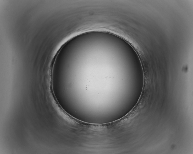 X0000100331526200806121115