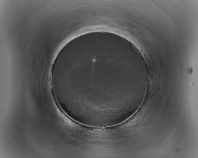 X0000100331527200806121115