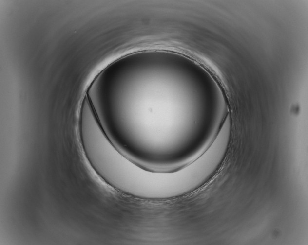 X0000100331528200806121115