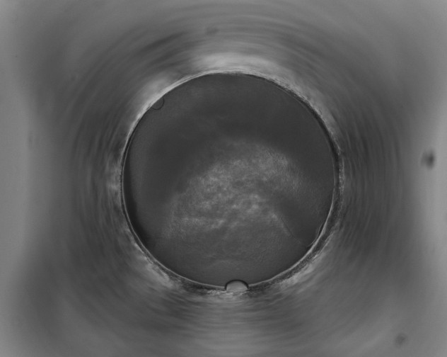 X0000100331529200806121115