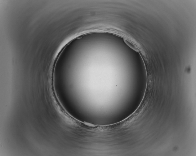 X0000100331530200806121115