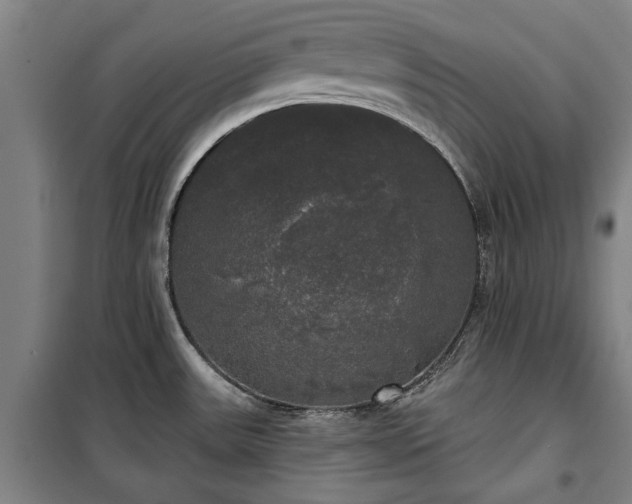 X0000100331531200806121115