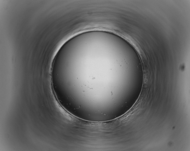 X0000100331532200806121115