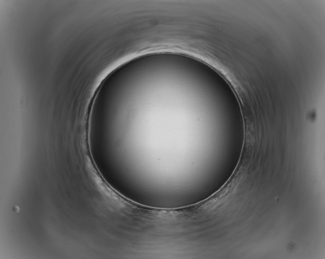 X0000100331534200806121115