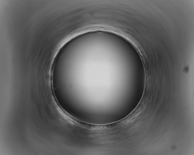 X0000100331535200806121115