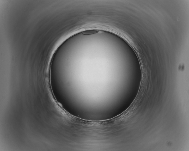 X0000100331536200806121115