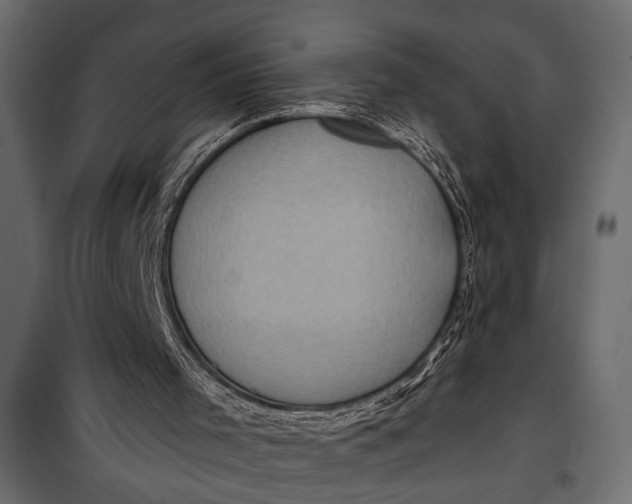 X0000100330001200806191119