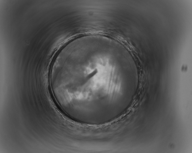 X0000100330002200806191119