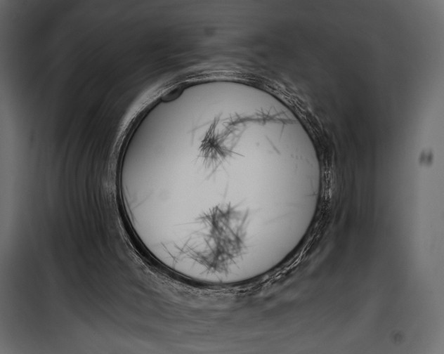 X0000100330004200806191119