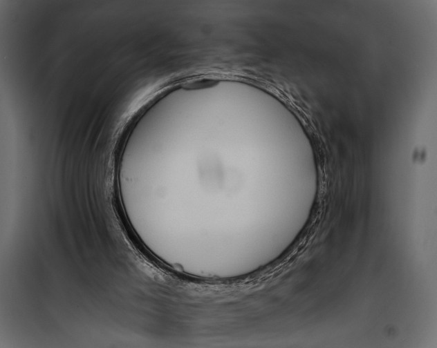 X0000100330005200806191119