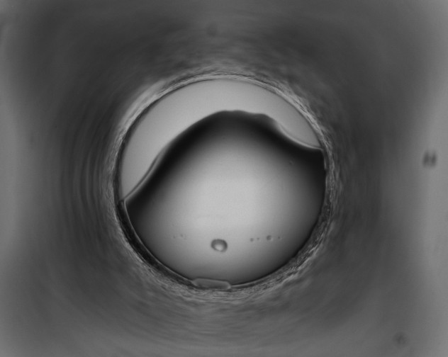 X0000100330007200806191119