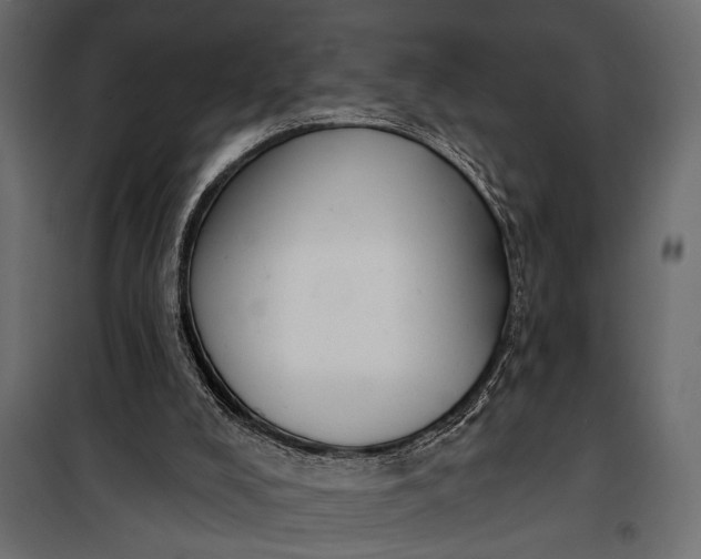 X0000100330008200806191119