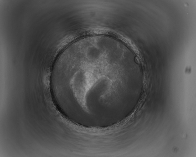 X0000100330010200806191119