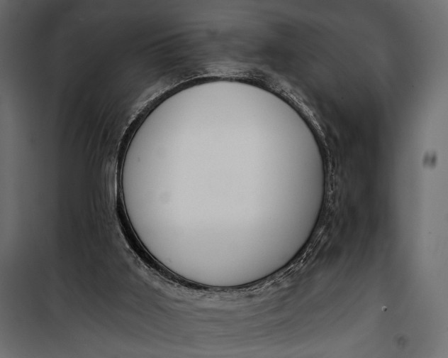 X0000100330011200806191119