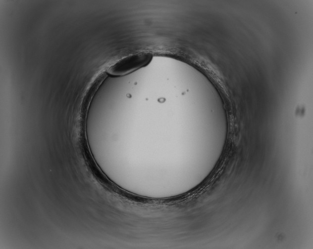 X0000100330012200806191119