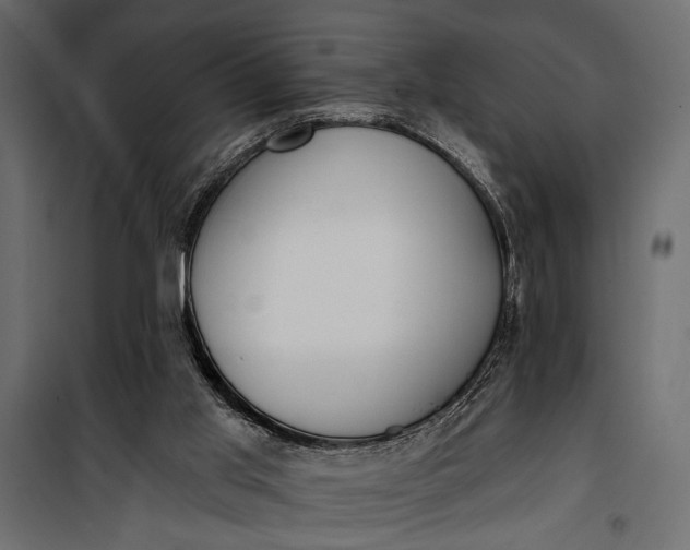 X0000100330013200806191119