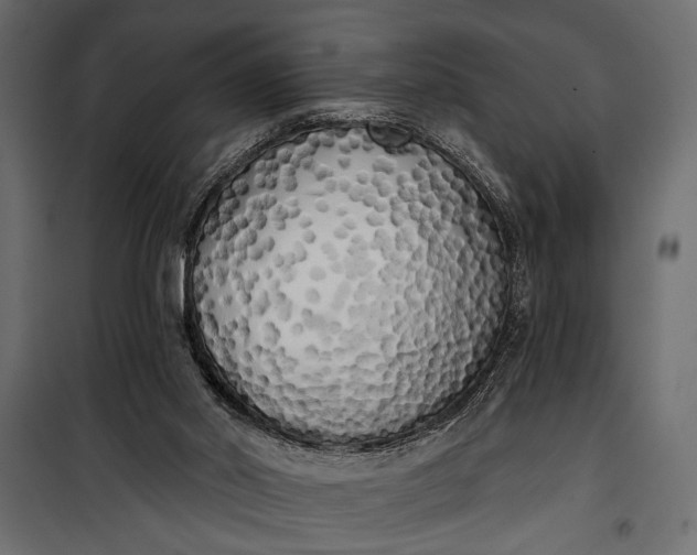 X0000100330014200806191119