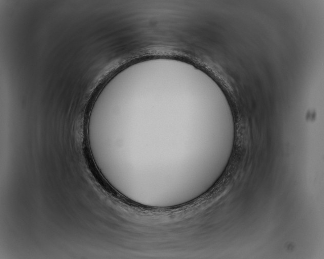 X0000100330015200806191119