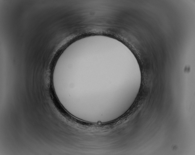 X0000100330016200806191119