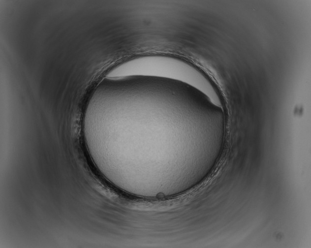 X0000100330017200806191119