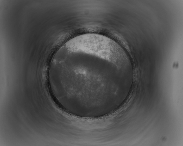 X0000100330018200806191119