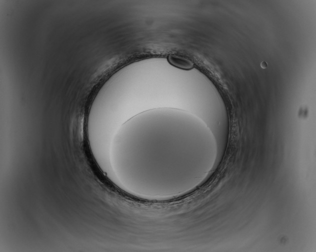 X0000100330019200806191119