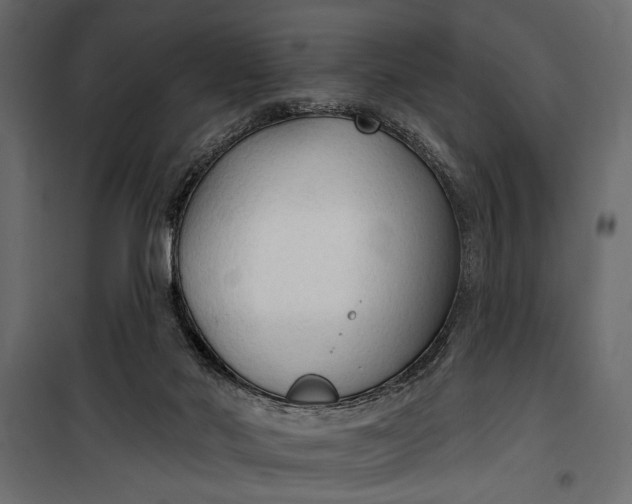 X0000100330022200806191119