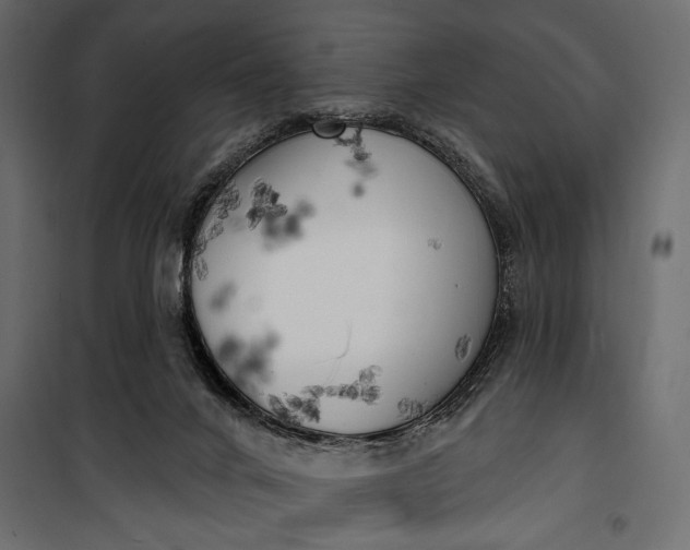 X0000100330024200806191119