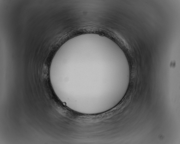 X0000100330025200806191119