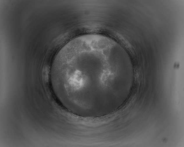 X0000100330026200806191119