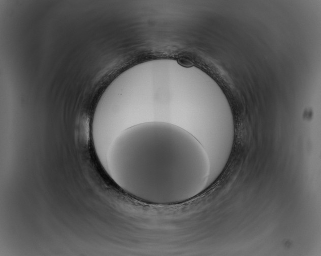 X0000100330027200806191119