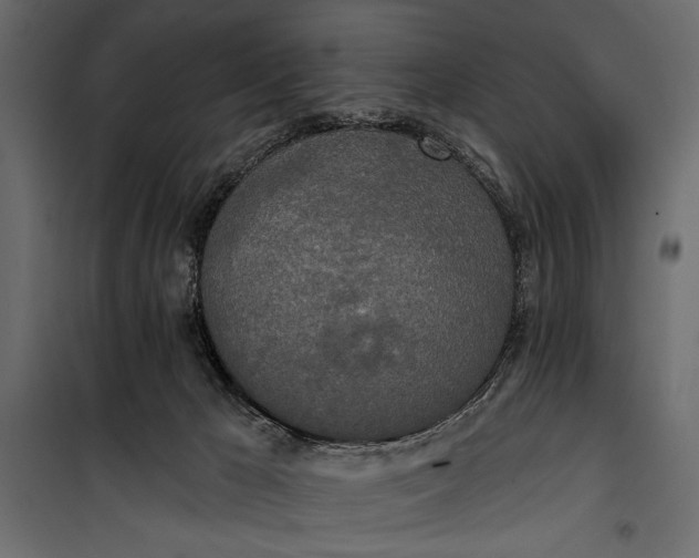 X0000100330029200806191119