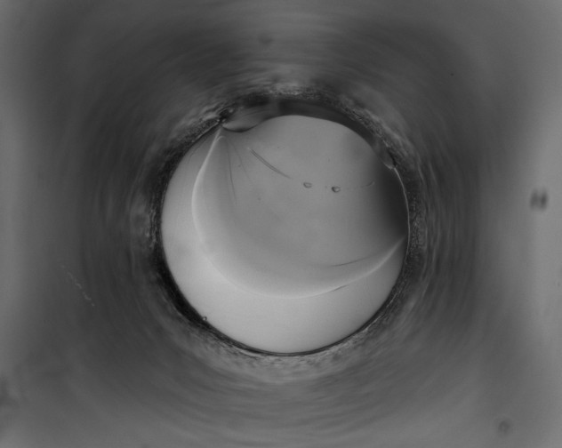 X0000100330031200806191119