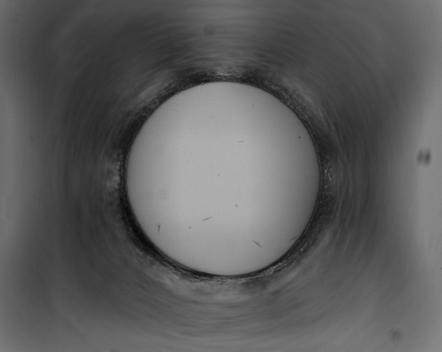 X0000100330032200806191119