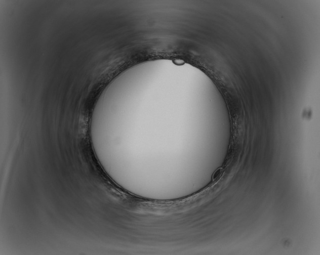 X0000100330033200806191119