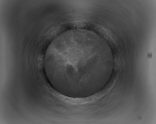 X0000100330034200806191119