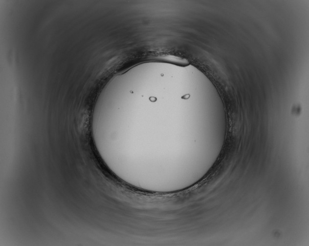 X0000100330036200806191119