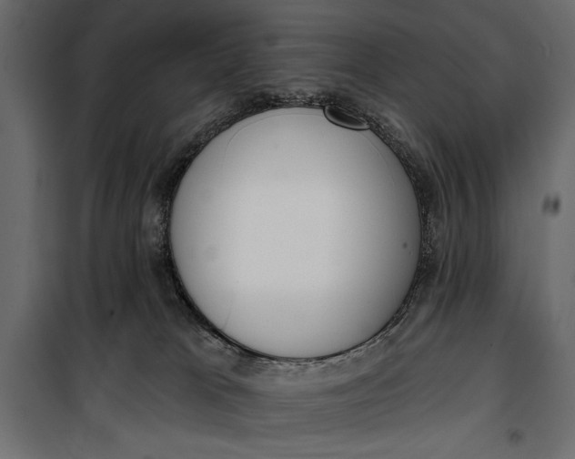 X0000100330037200806191119