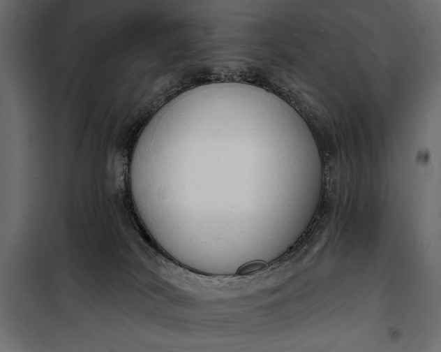 X0000100330038200806191118