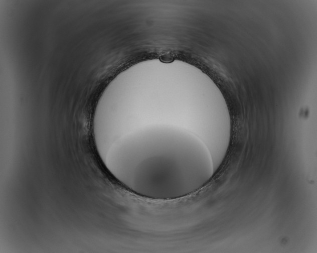 X0000100330039200806191118