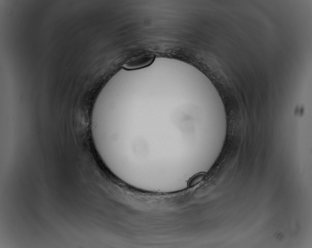 X0000100330040200806191118