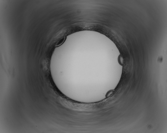 X0000100330044200806191118