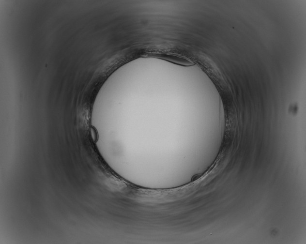 X0000100330045200806191118