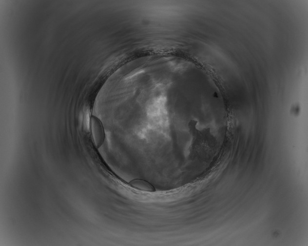 X0000100330046200806191118