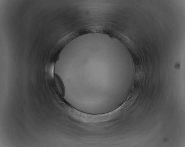 X0000100330047200806191118